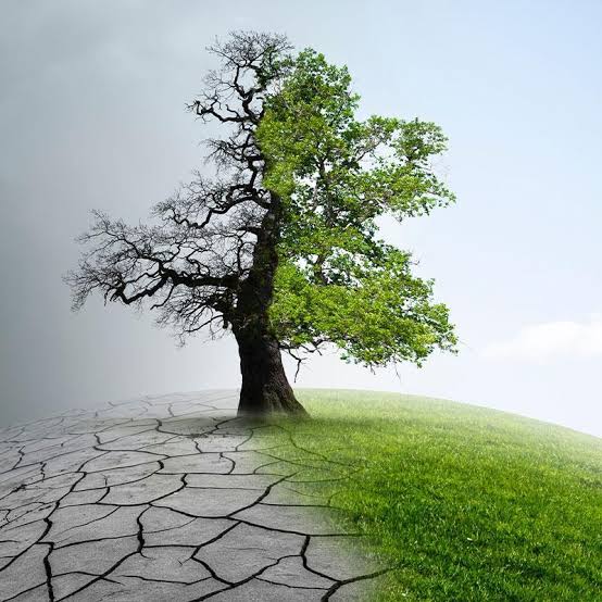 climat